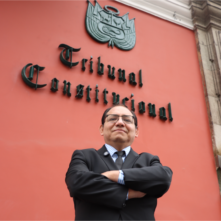 Derecho Penal Constitucional